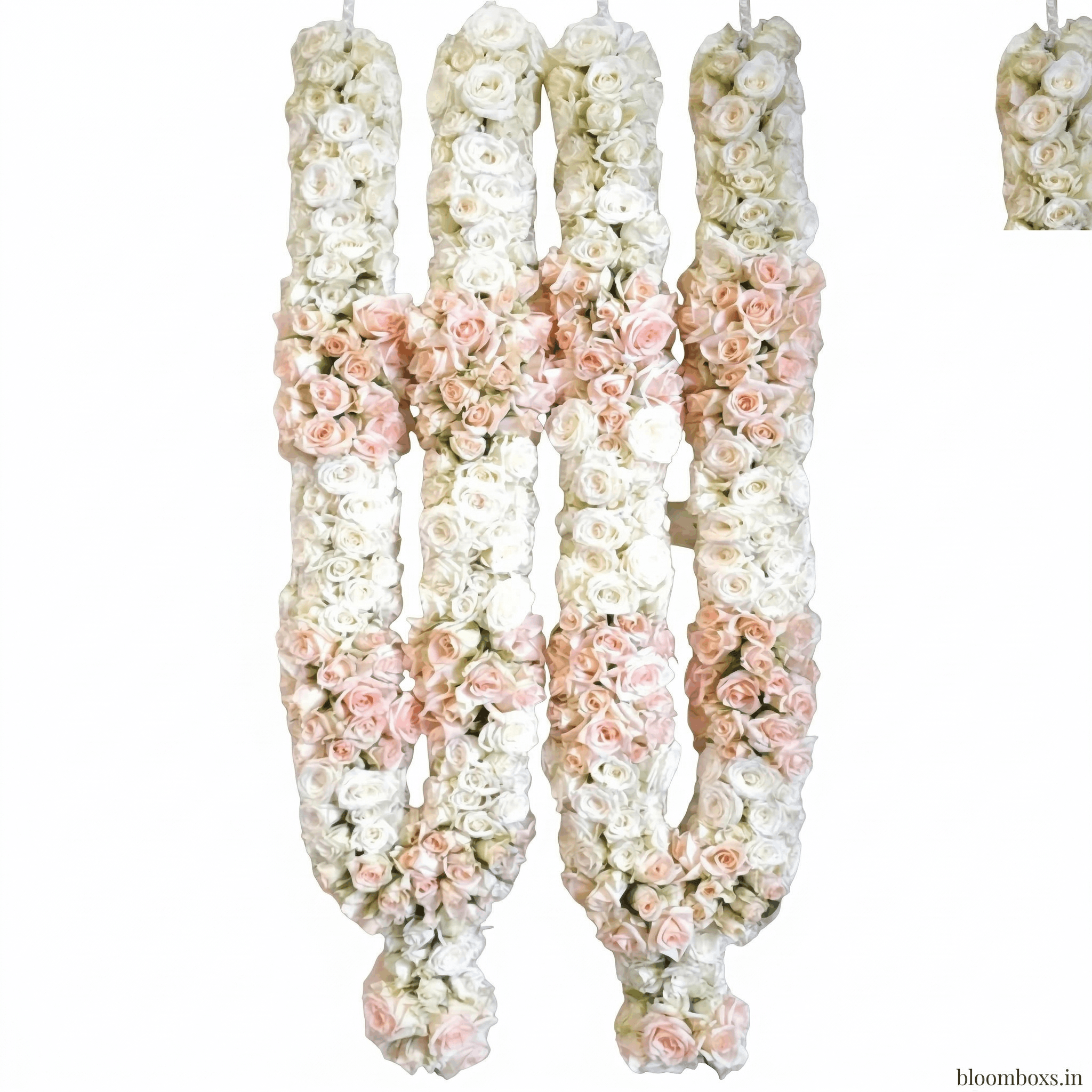 Luxury White and Peach Rose Wedding Jaimala for Bride and Groom