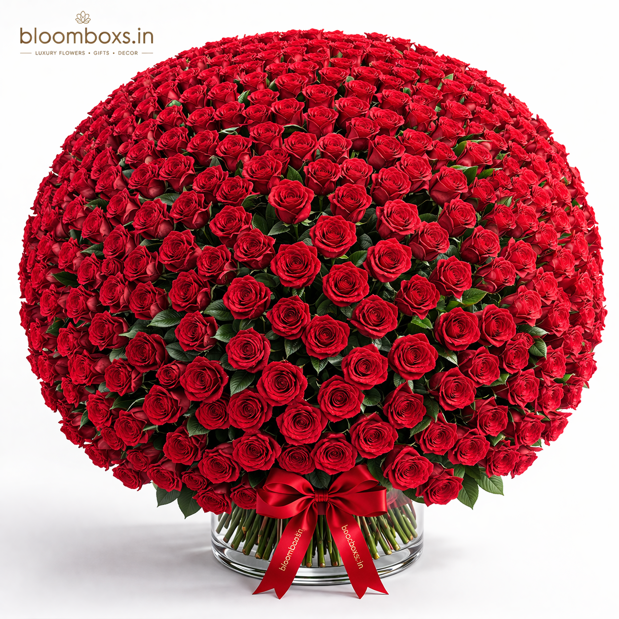 Luxury bouquet of 365 fresh red roses arranged in a round dome shape – bloomboxs.in