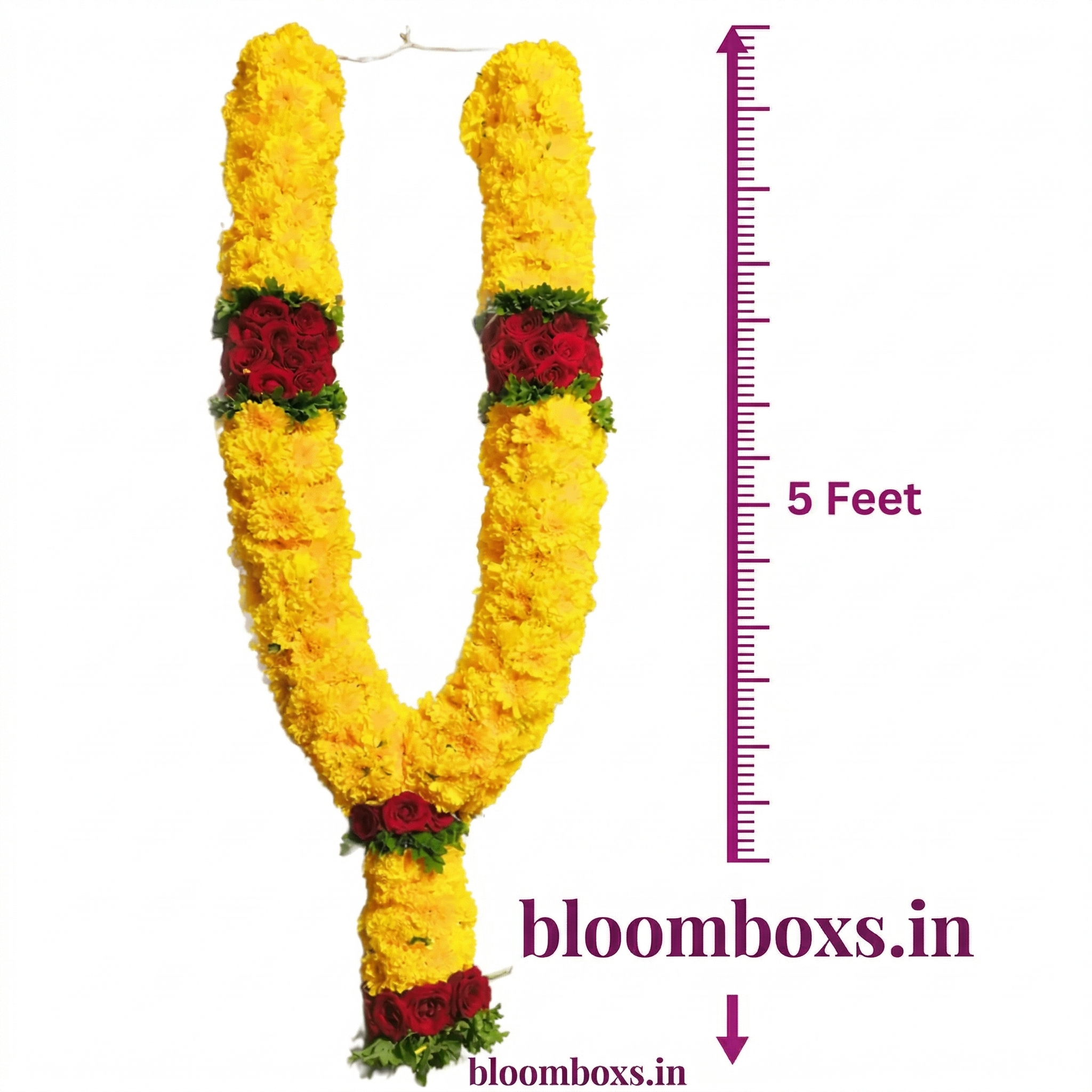 Fresh Chrysanthemum Temple Garland 5ft for Temple Pooja Decoration