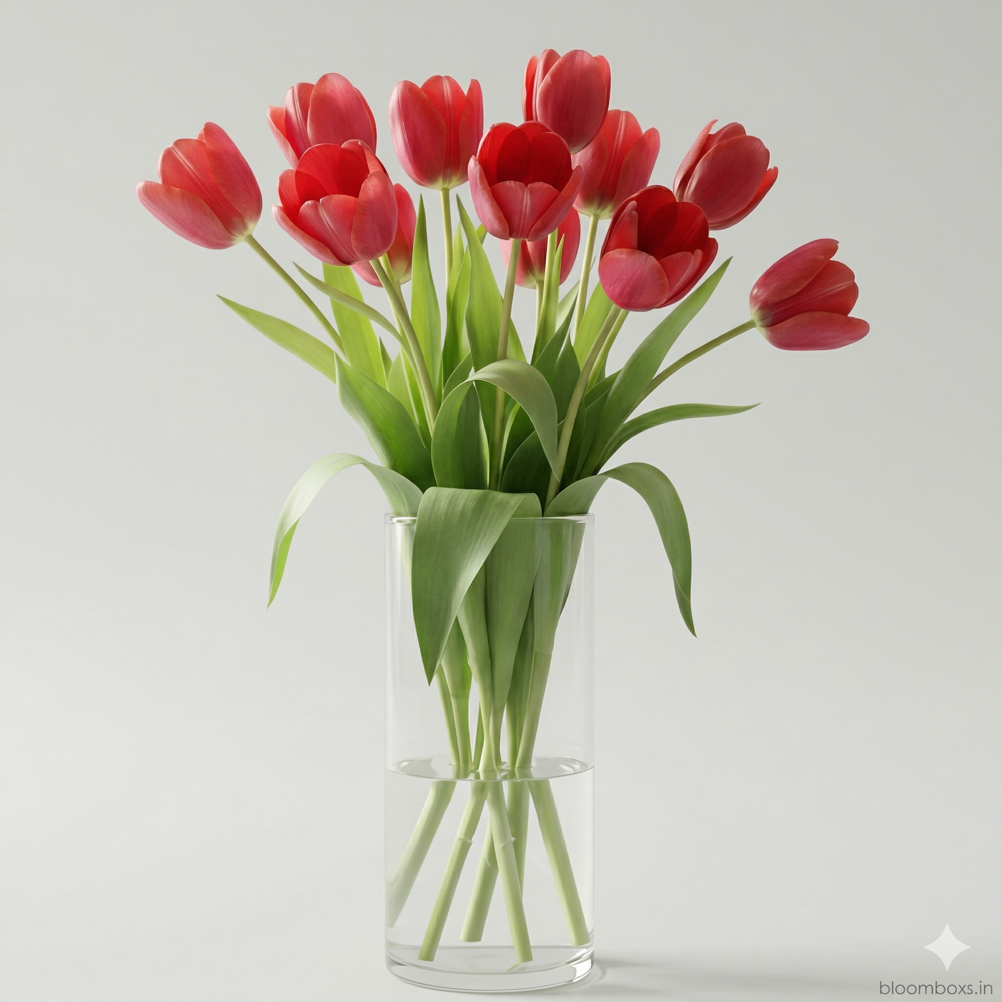 Fresh red tulips bouquet with elegant wrapping for romantic gift and special occasions