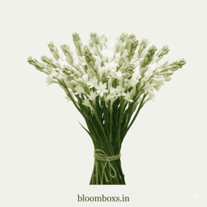 Rajnigandha Flowers Bunch 30pcs | Tuberose Delivery Delhi NCR